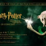 myticket_Harry_Potter-2025-01