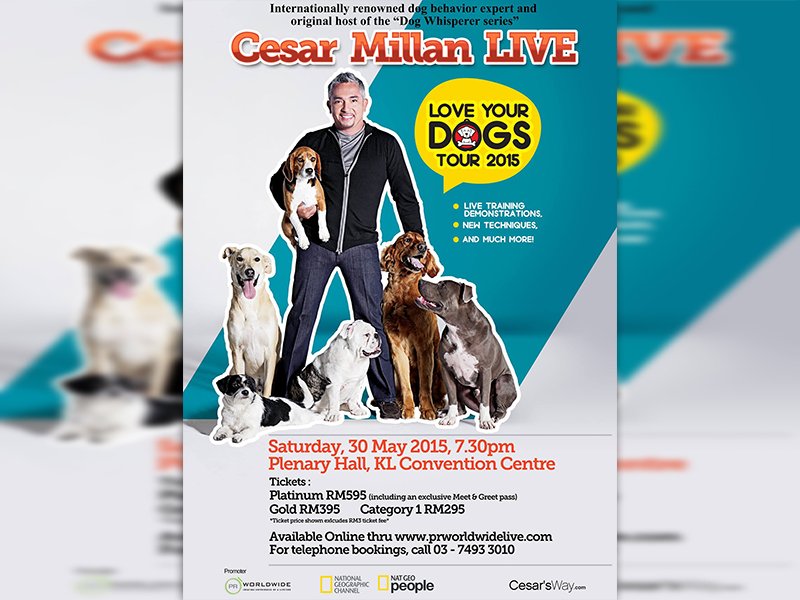 myticket_CesarMilan15-poster1